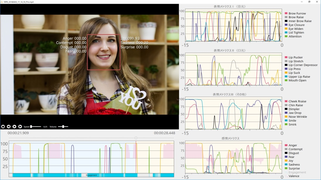 「心sensor」による分析結果ビューア画面